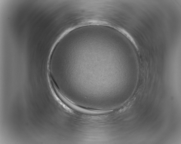 X0000072531381200608111735