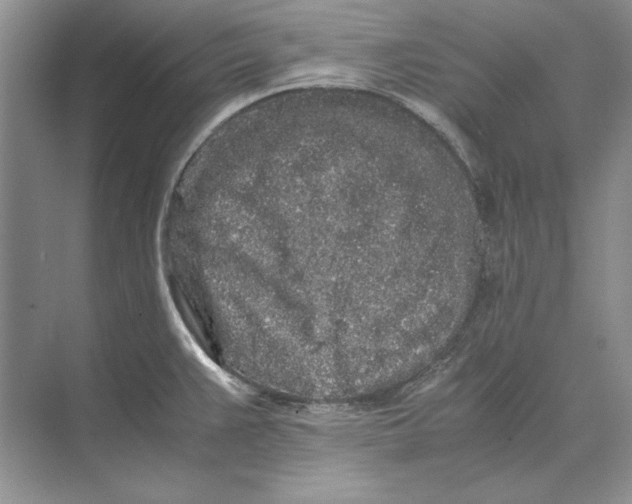 X0000072531383200608111735