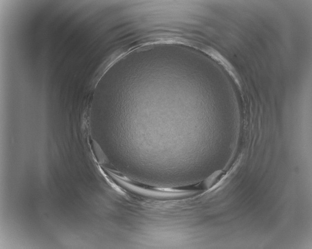 X0000072531385200608111735