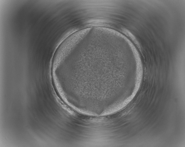 X0000072531386200608111735