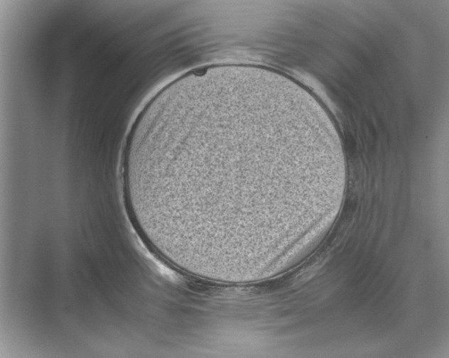 X0000072531387200608111735