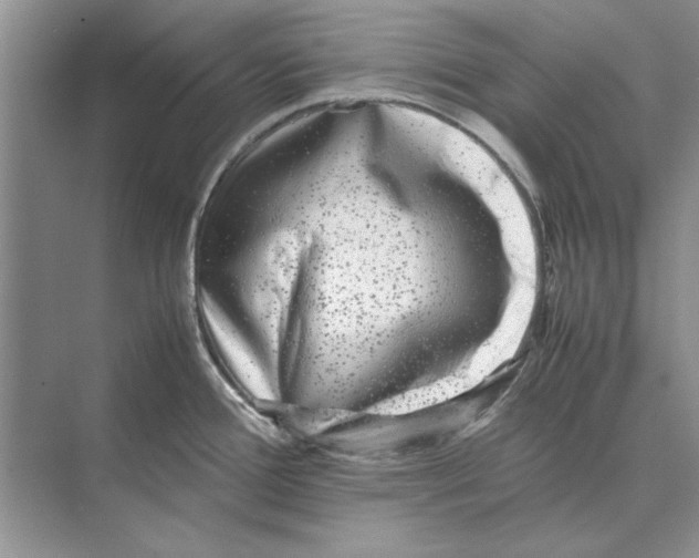 X0000072531388200608111735