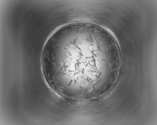 X0000072531389200608111735