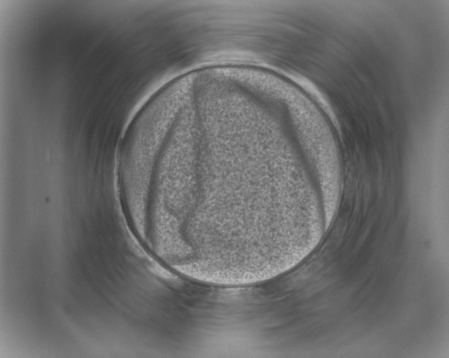 X0000072531390200608111735