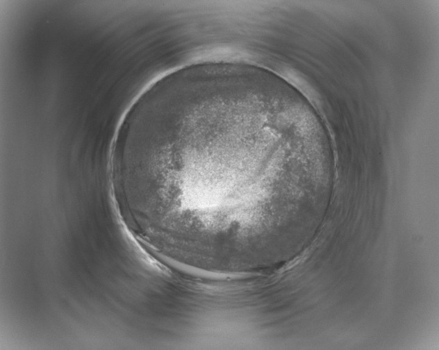 X0000072531392200608111735