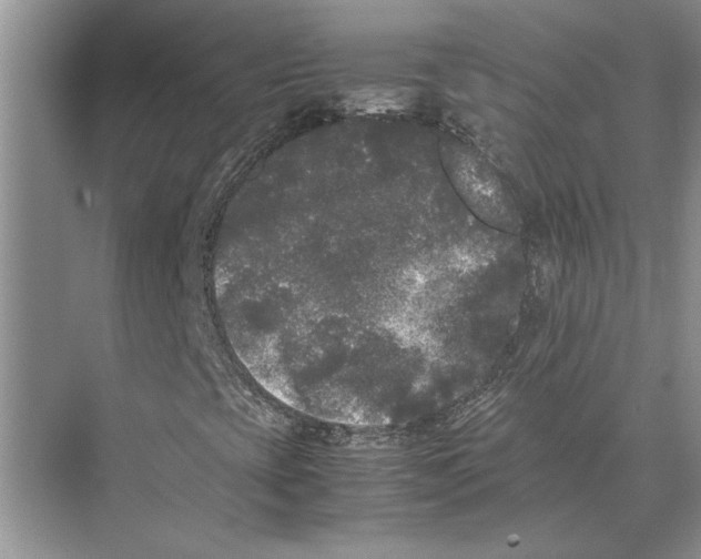 X0000072531393200608111734