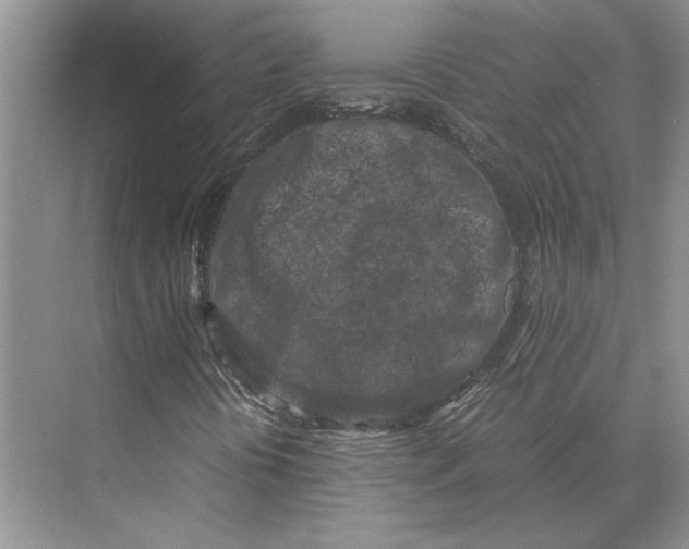 X0000072531394200608111734