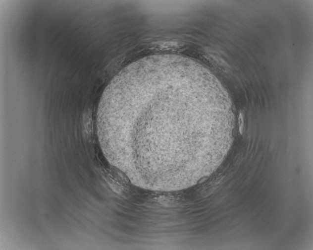 X0000072531395200608111734