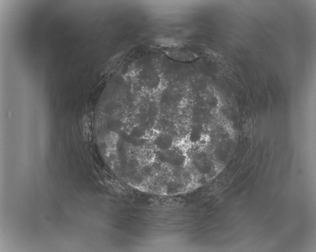 X0000072531397200608111734