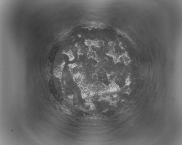 X0000072531399200608111734