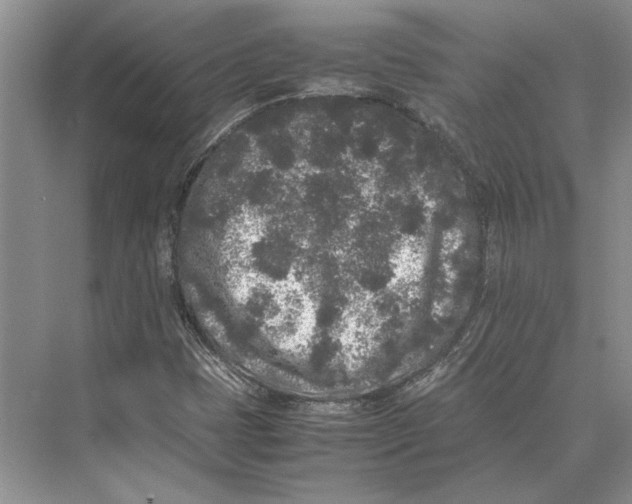 X0000072531401200608111734