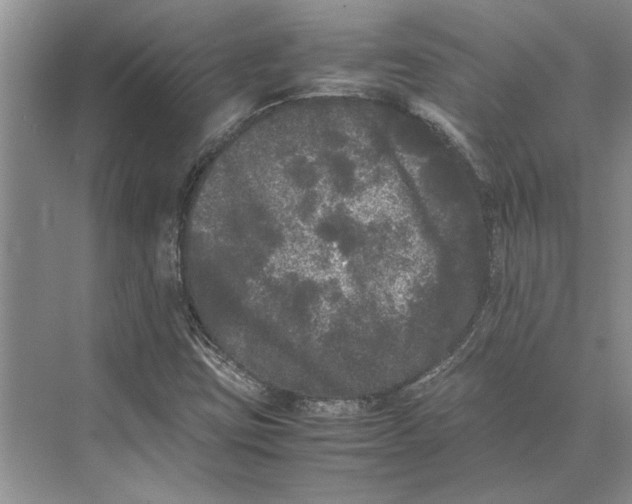 X0000072531403200608111734