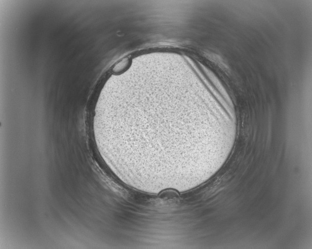 X0000072531404200608111734