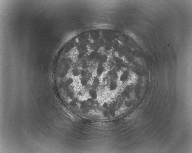 X0000072531405200608111734