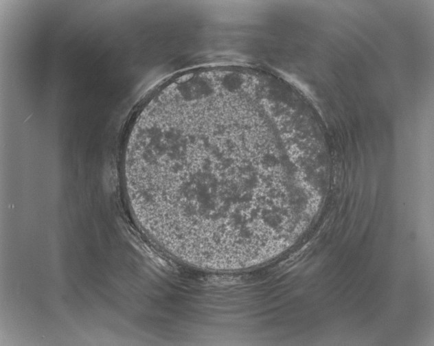 X0000072531407200608111734