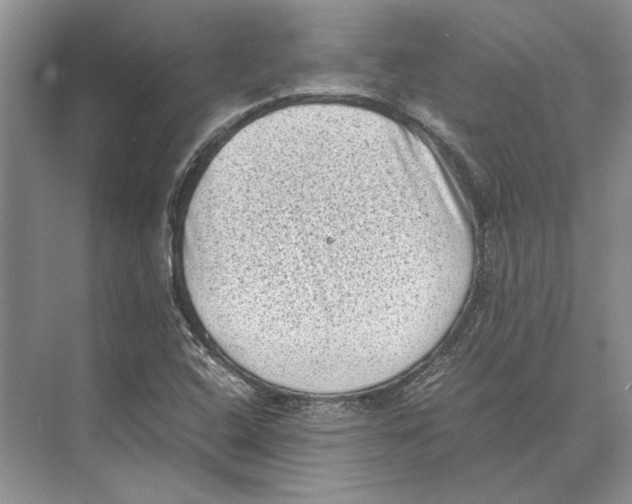 X0000072531408200608111734