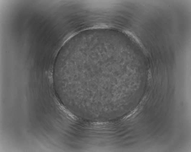 X0000072531409200608111734