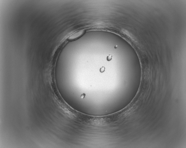 X0000072531410200608111734