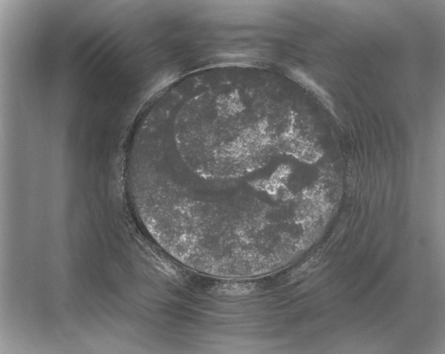 X0000072531411200608111734