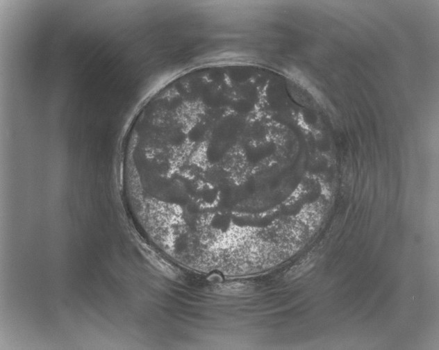 X0000072531413200608111734