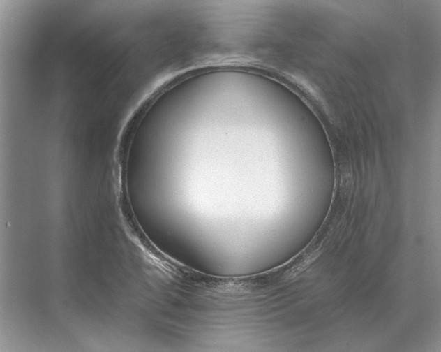 X0000072531414200608111734