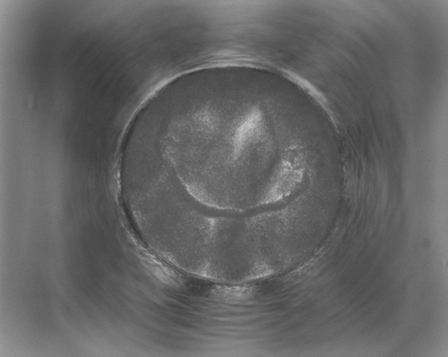 X0000072531415200608111734