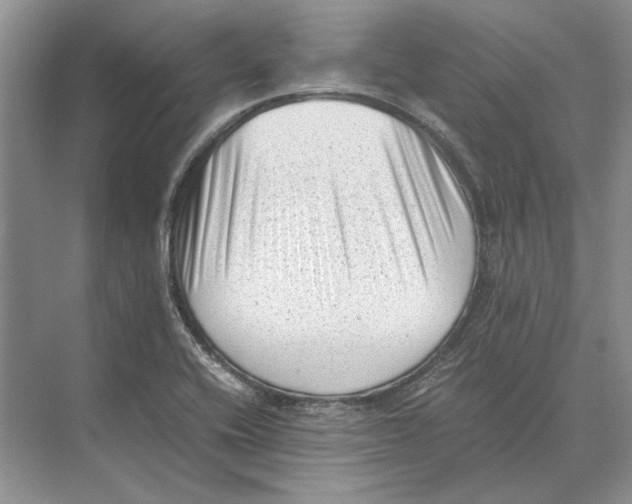 X0000072531416200608111734