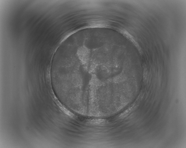 X0000072531417200608111734