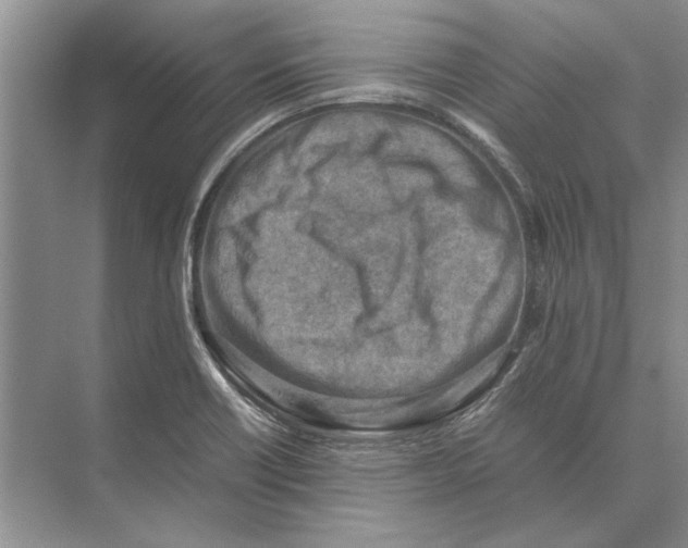 X0000072531418200608111734