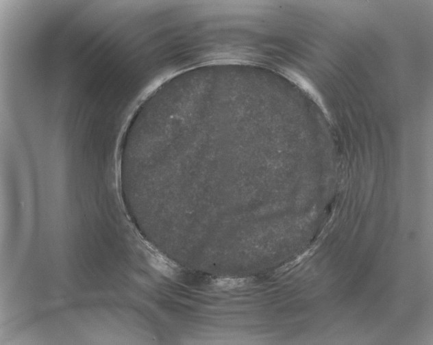 X0000072531419200608111734