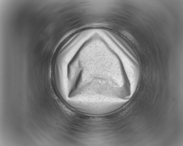 X0000072531420200608111734