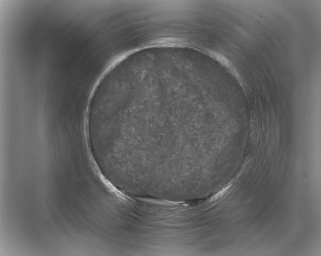 X0000072531421200608111734