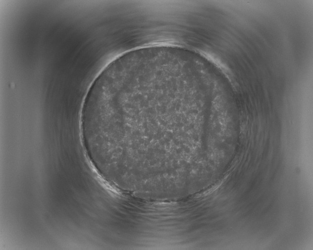 X0000072531423200608111734