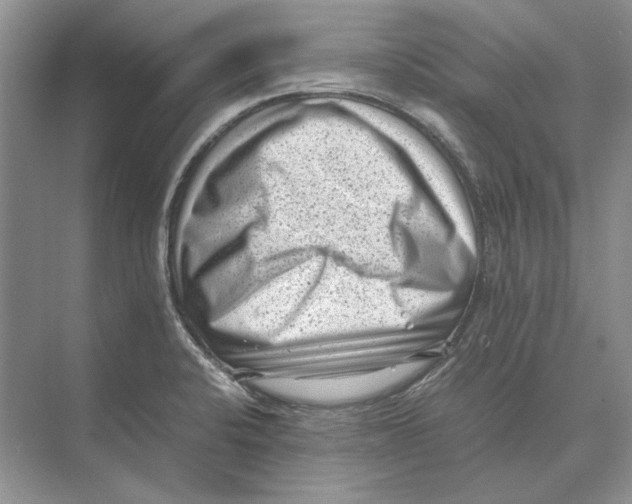 X0000072531424200608111734