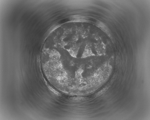 X0000072531425200608111734