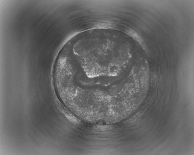 X0000072531427200608111734