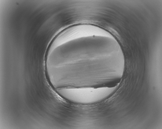 X0000072531428200608111734