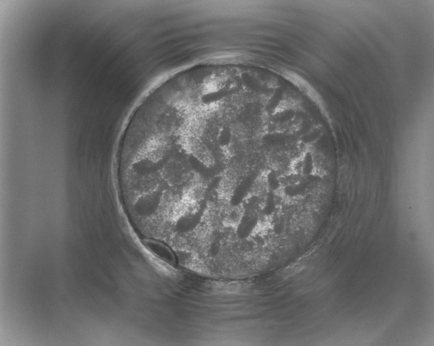 X0000072531429200608111734