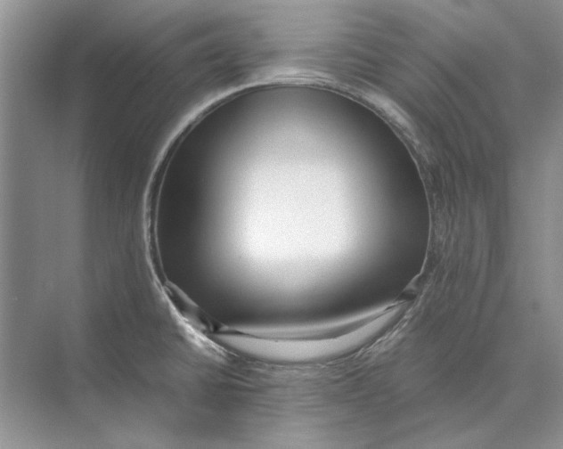 X0000072531430200608111734