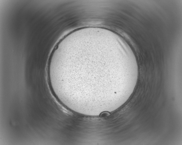 X0000072531432200608111735