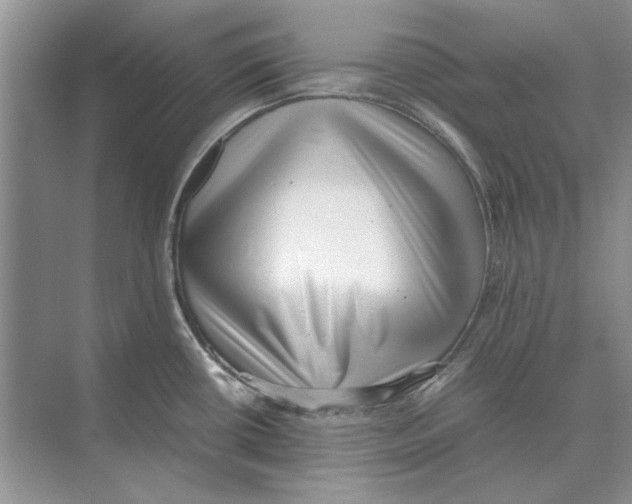 X0000072531434200608111735