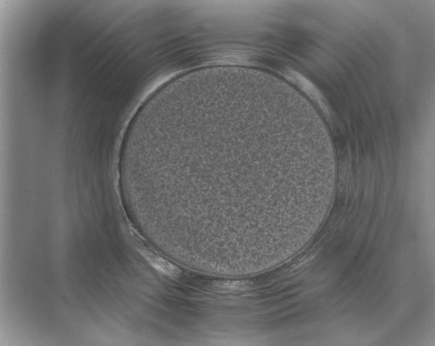 X0000072531435200608111735