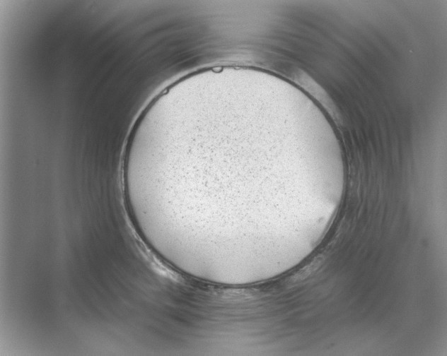 X0000072531436200608111735