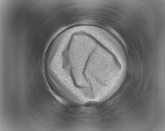 X0000072531437200608111735