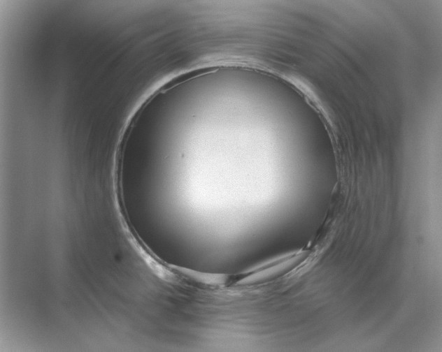 X0000072531438200608111735