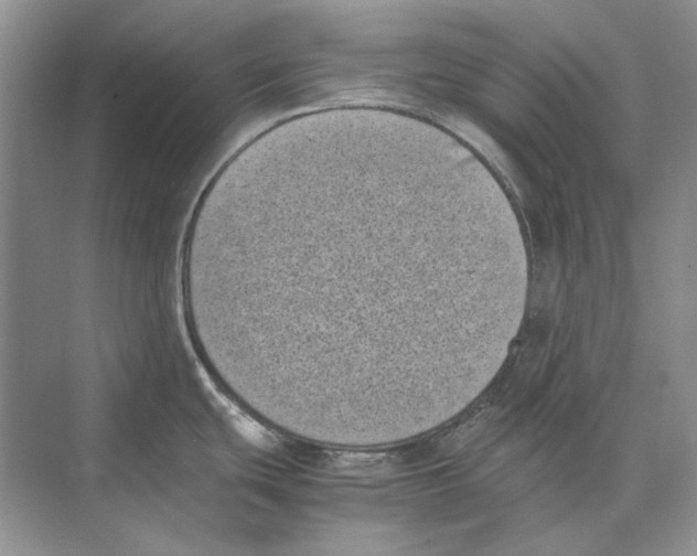 X0000072531439200608111735