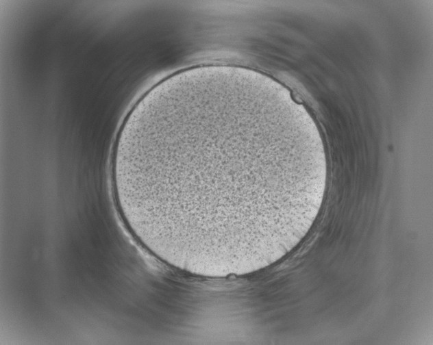 X0000072531440200608111735