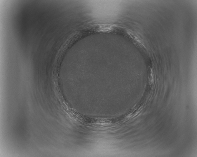 X0000072531441200608111734