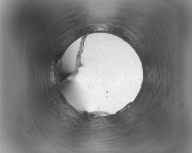 X0000072531442200608111734