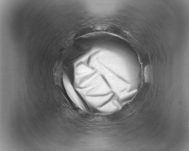 X0000072531443200608111734